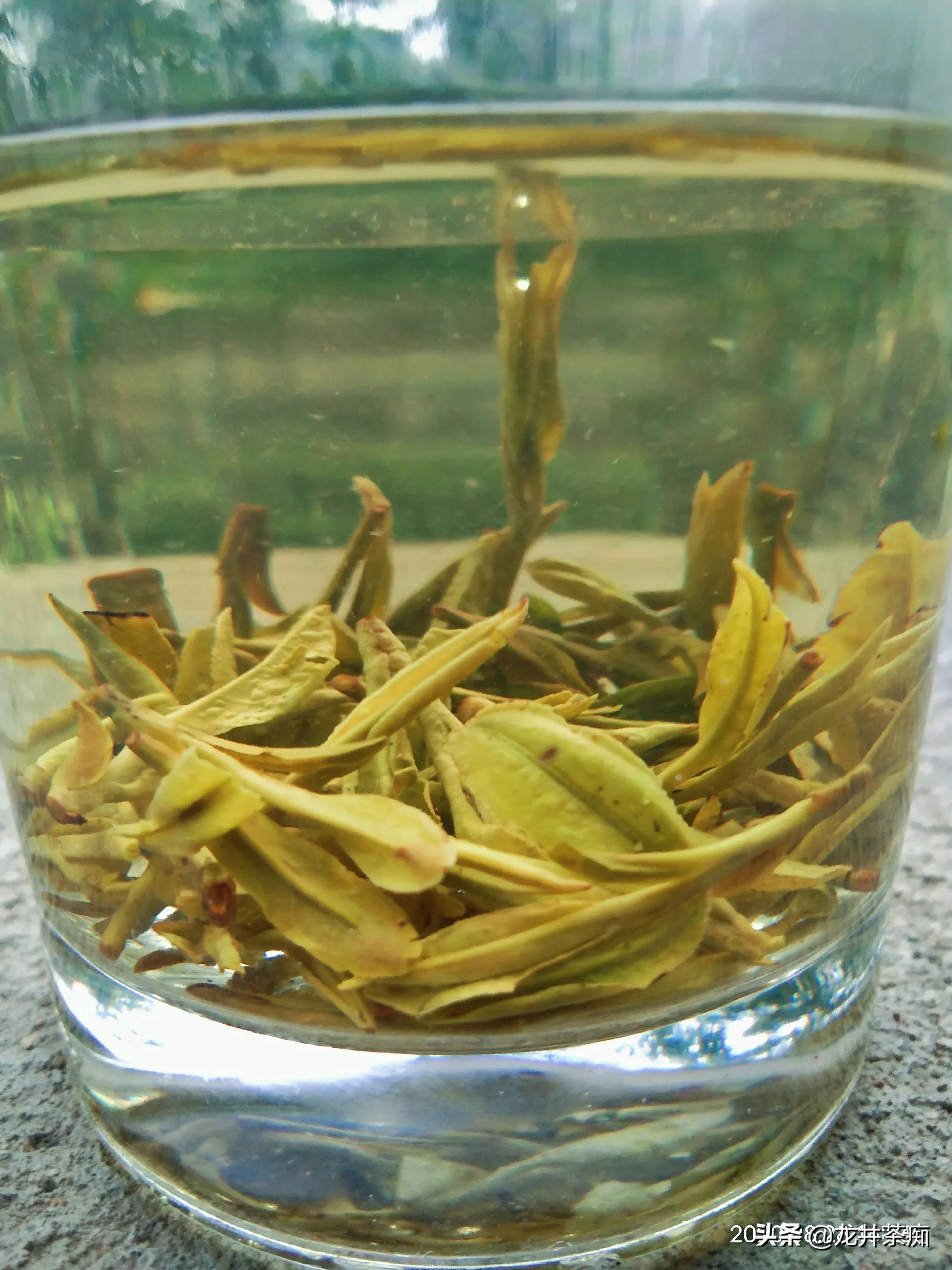 大家平时喝茶吗？喝茶有讲究吗？