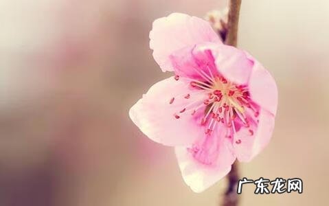 家里人老是生病风水 什么风水伤筋动骨