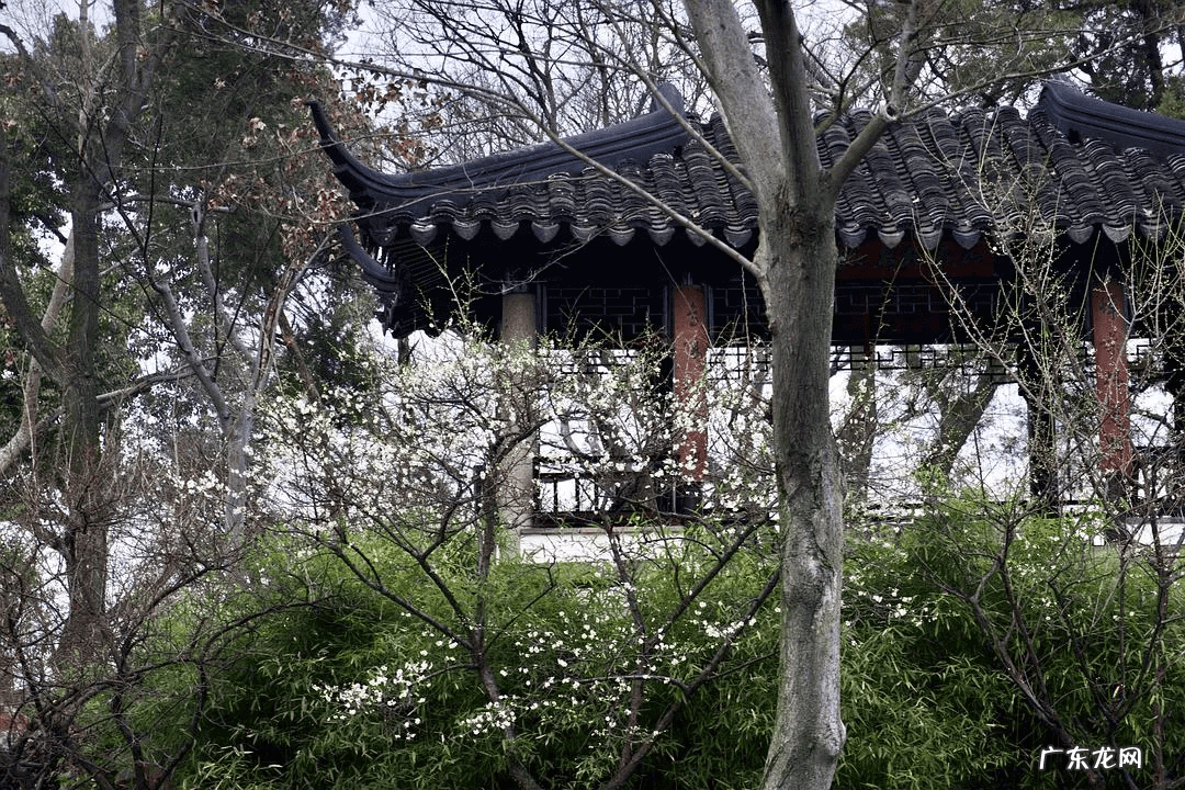 苏州哪里有风水先生 苏州的风水