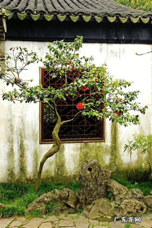 苏州哪里有风水先生 苏州的风水