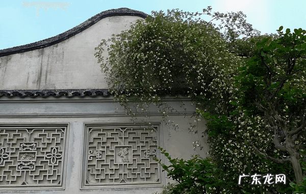 苏州哪里有风水先生 苏州的风水