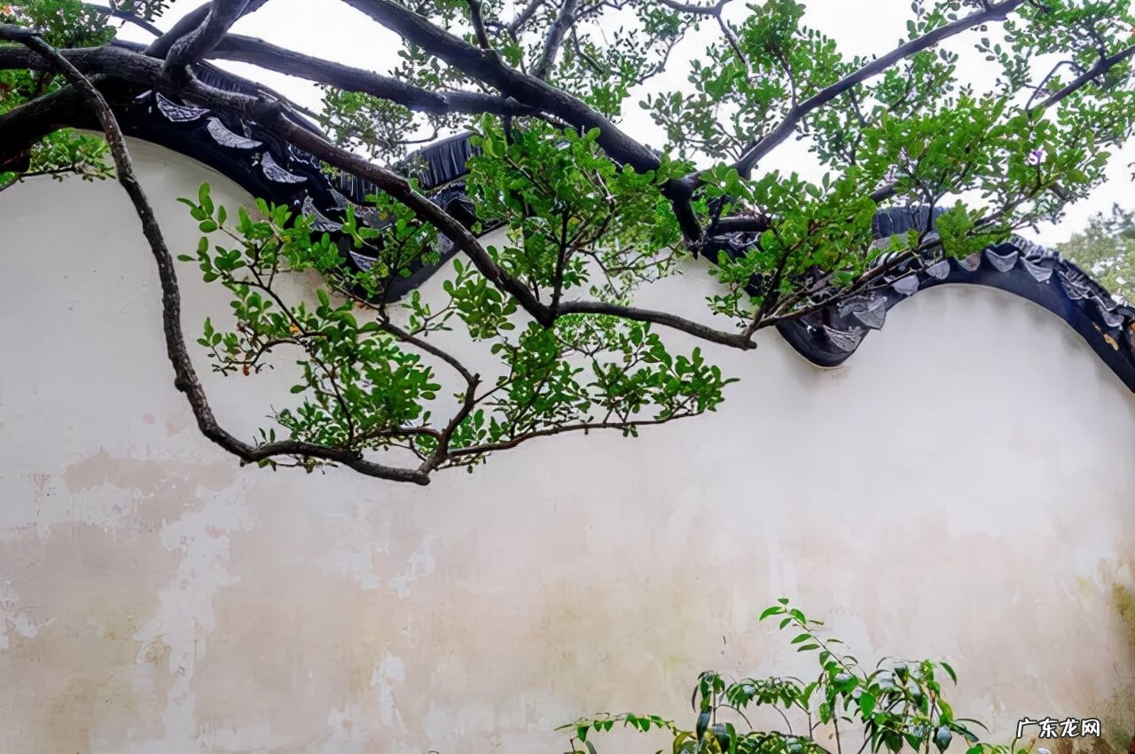 苏州哪里有风水先生 苏州的风水