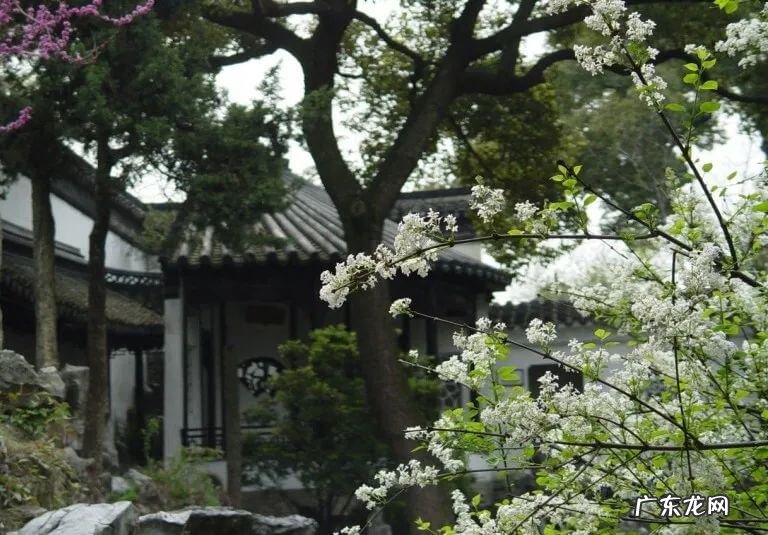 苏州哪里有风水先生 苏州的风水