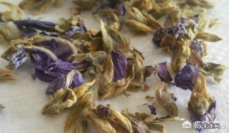 吃什么东西最护肝?