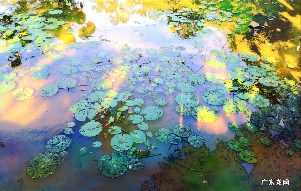 如何用摄影作品体现“夏日清凉”?