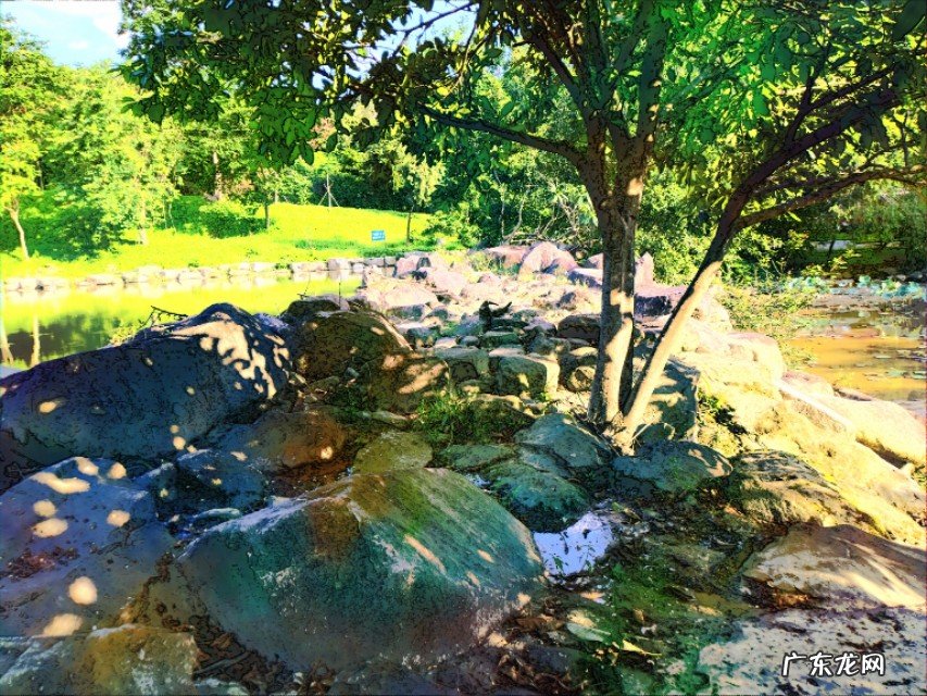 如何用摄影作品体现“夏日清凉”?