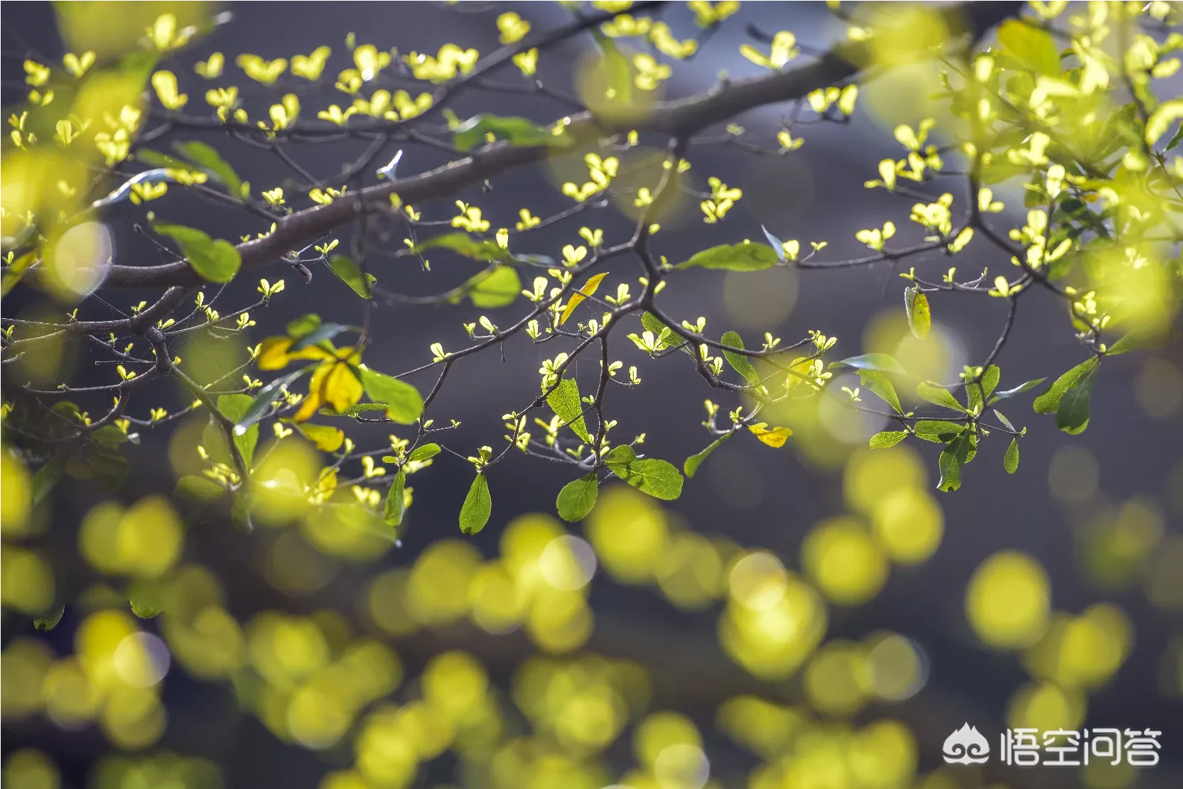 如何用摄影作品体现“夏日清凉”?