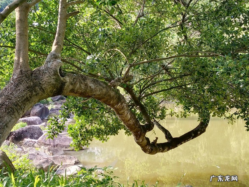 如何用摄影作品体现“夏日清凉”?