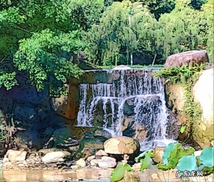 如何用摄影作品体现“夏日清凉”?