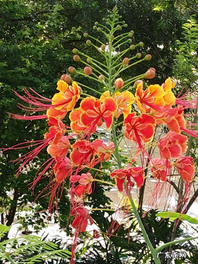 如何用摄影作品体现“夏日清凉”?