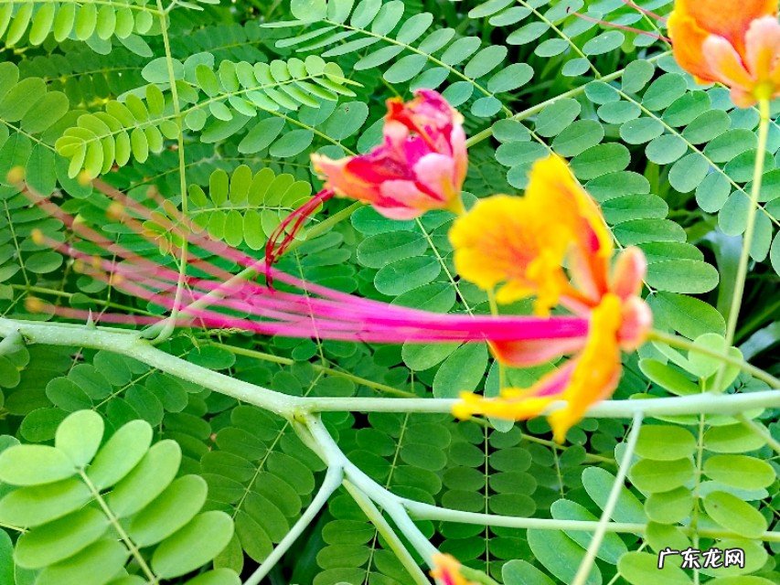 如何用摄影作品体现“夏日清凉”?