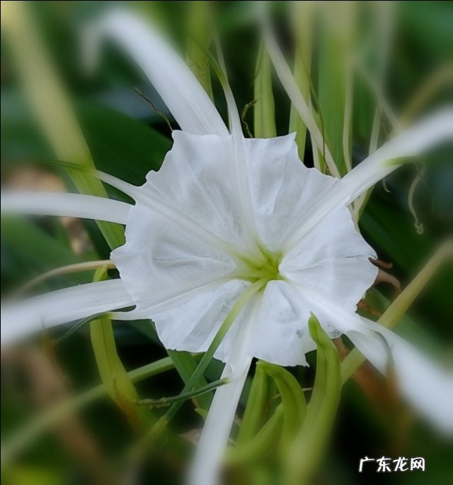 如何用摄影作品体现“夏日清凉”?