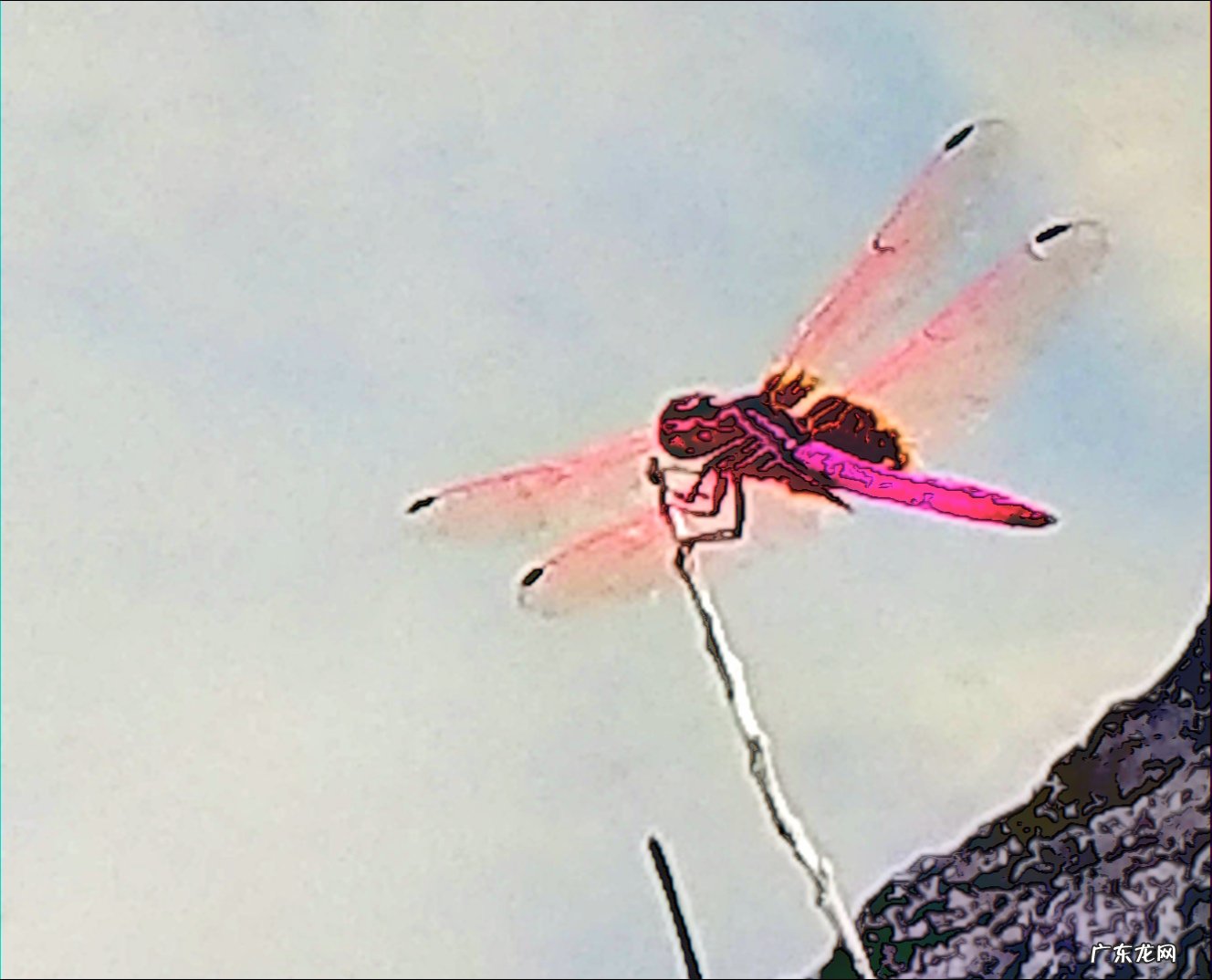 如何用摄影作品体现“夏日清凉”?