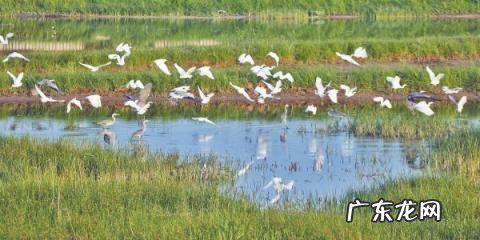 飞翔飞翔,乘着长风飞翔 乘着长空飞翔