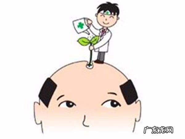 怎么种植头发视频 怎么种头发?