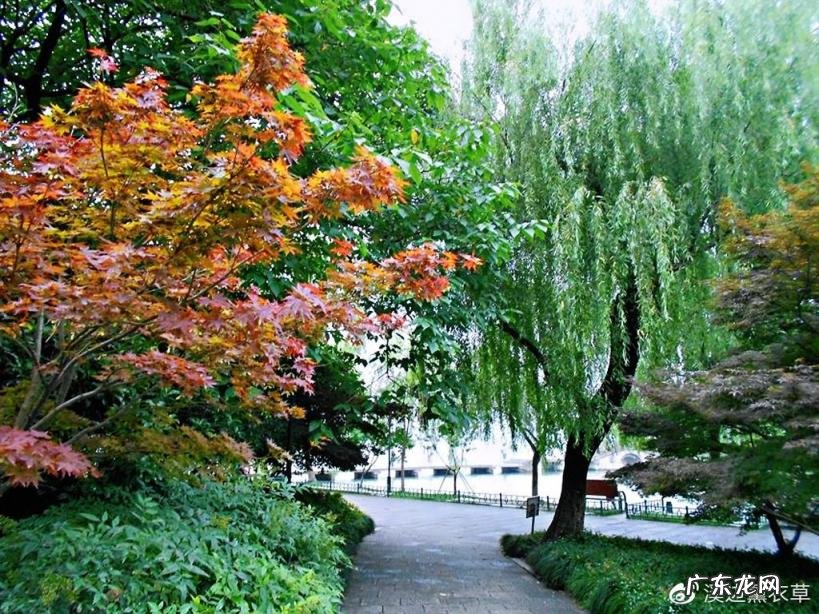 西湖最盛为春为月原文及翻译 西湖最盛为春为月文言文名字叫什么