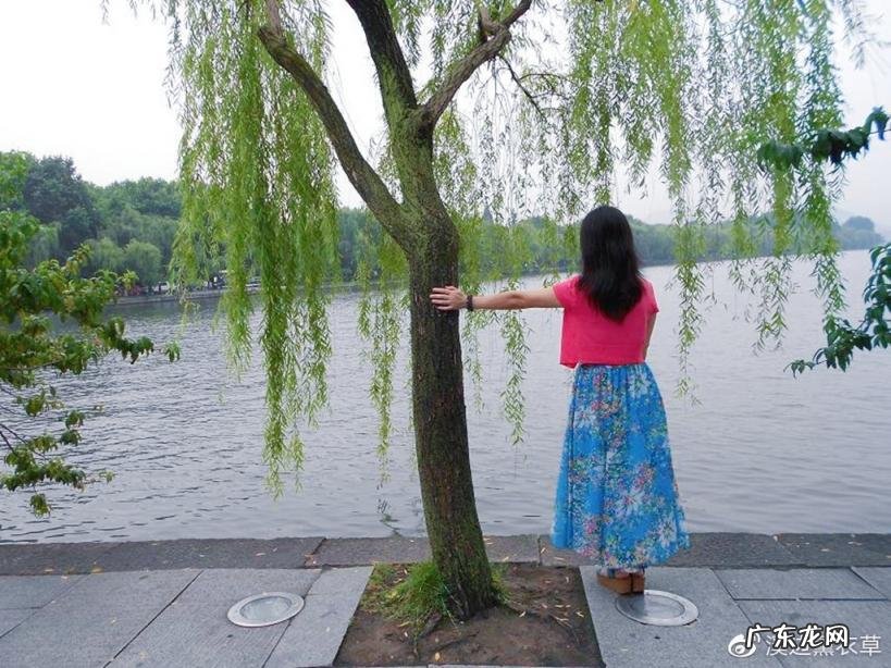 西湖最盛为春为月原文及翻译 西湖最盛为春为月文言文名字叫什么