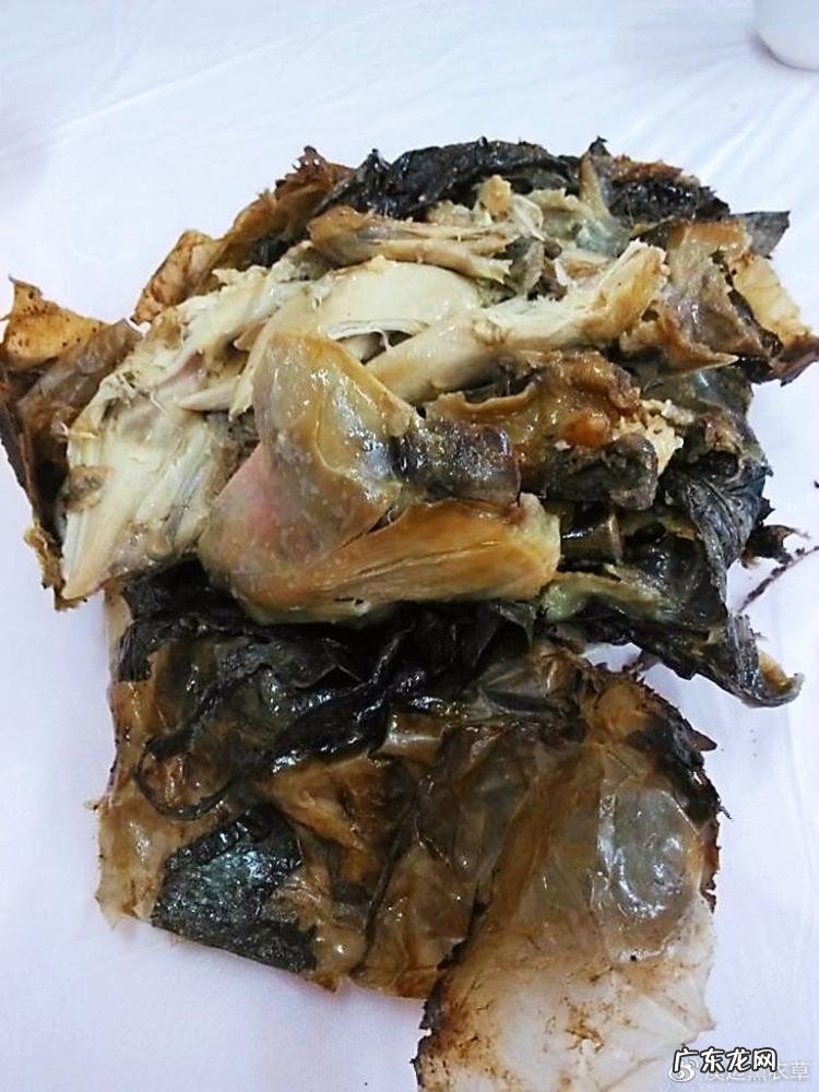 西湖最盛为春为月原文及翻译 西湖最盛为春为月文言文名字叫什么