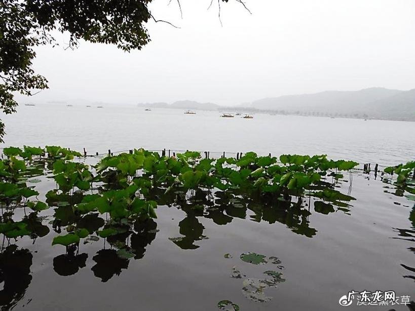 西湖最盛为春为月原文及翻译 西湖最盛为春为月文言文名字叫什么