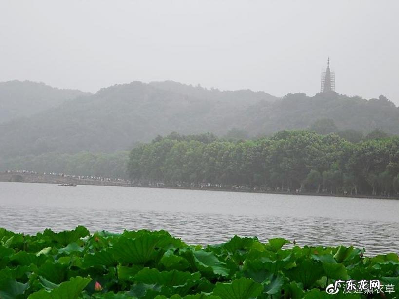 西湖最盛为春为月原文及翻译 西湖最盛为春为月文言文名字叫什么