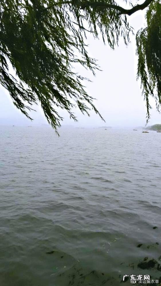 西湖最盛为春为月原文及翻译 西湖最盛为春为月文言文名字叫什么