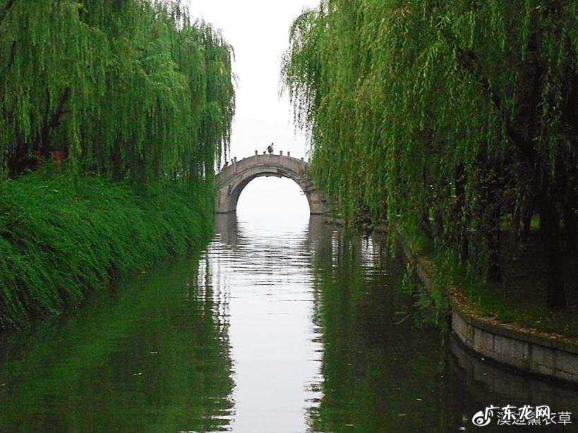 西湖最盛为春为月原文及翻译 西湖最盛为春为月文言文名字叫什么