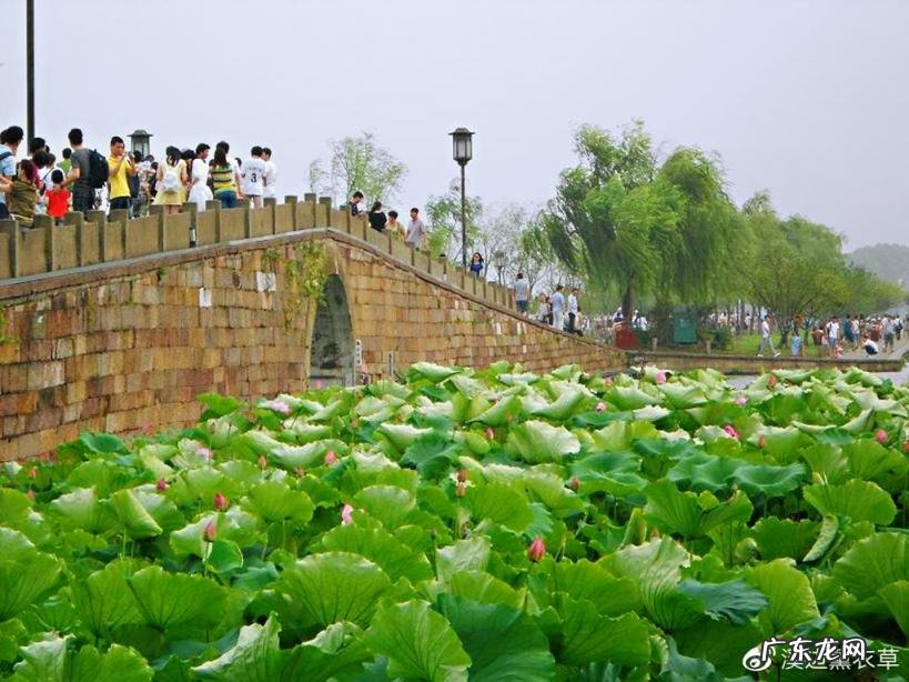 西湖最盛为春为月原文及翻译 西湖最盛为春为月文言文名字叫什么