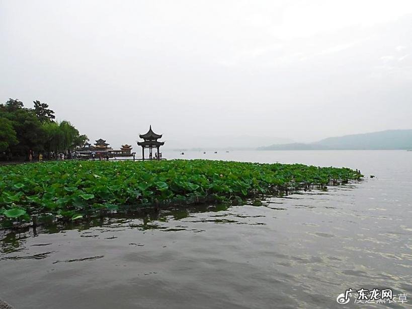 西湖最盛为春为月原文及翻译 西湖最盛为春为月文言文名字叫什么