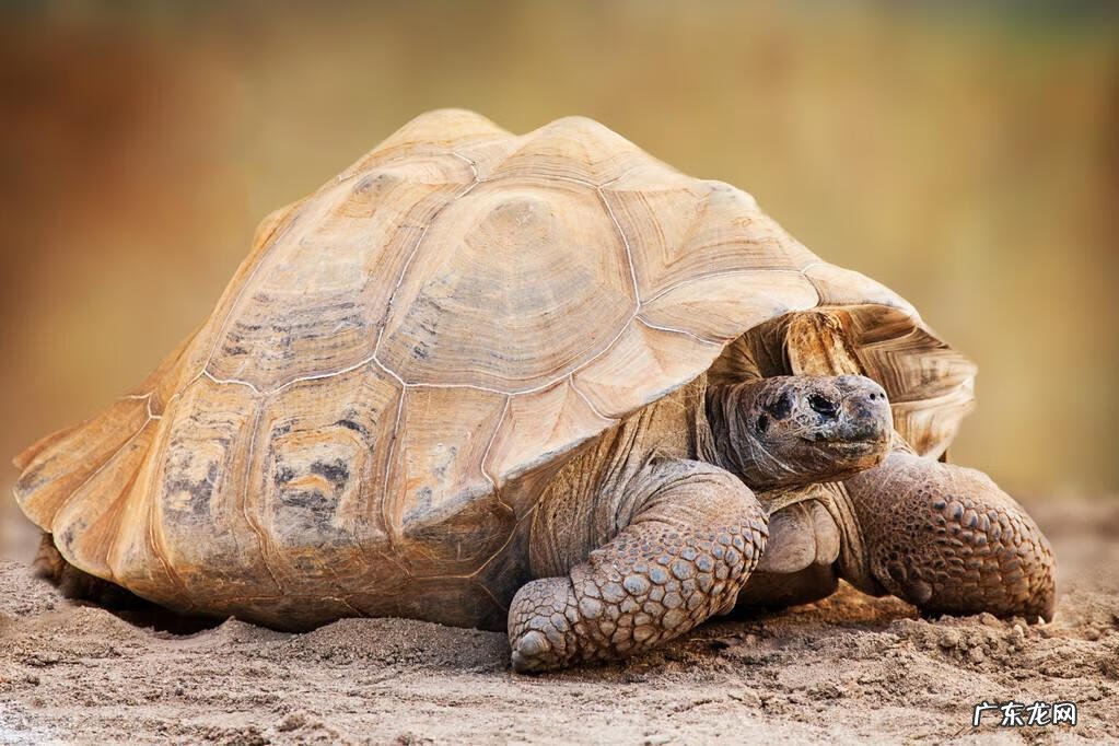 古代名家风水宝地在哪