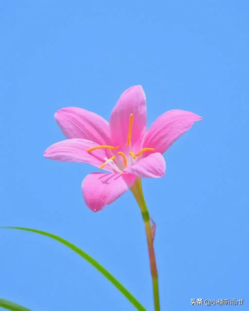 你认为最励志的名人名言是哪一句?