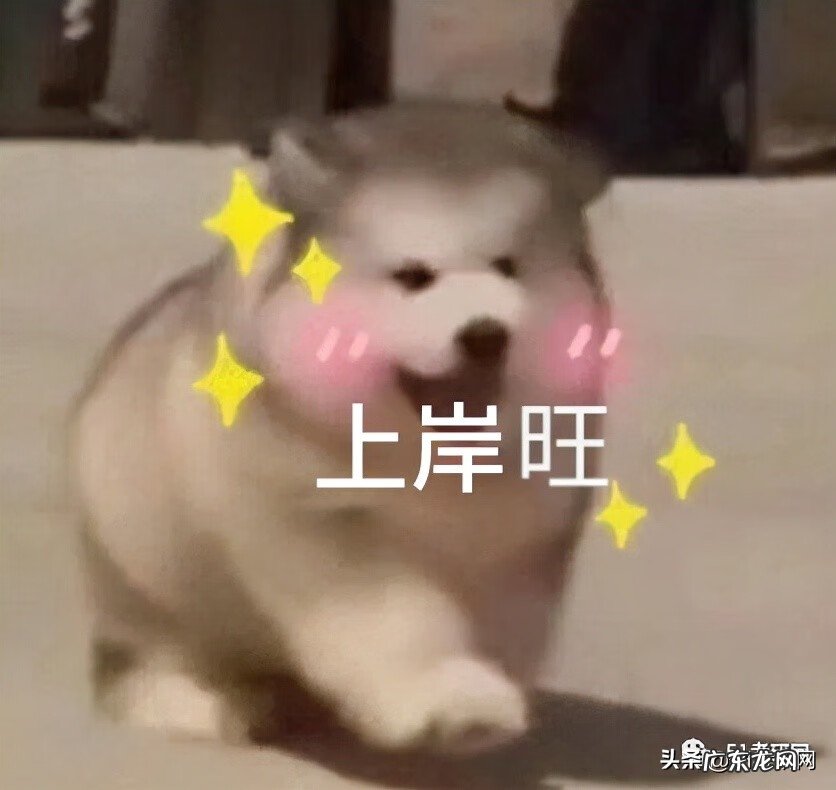 考研考试的考场怎么安排 考研考场安排在哪看