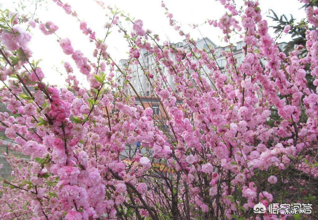 创业之前应该做哪些准备？