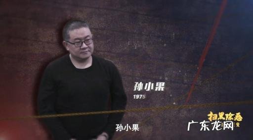 孙小果最大的伞 孙小果的保护伞