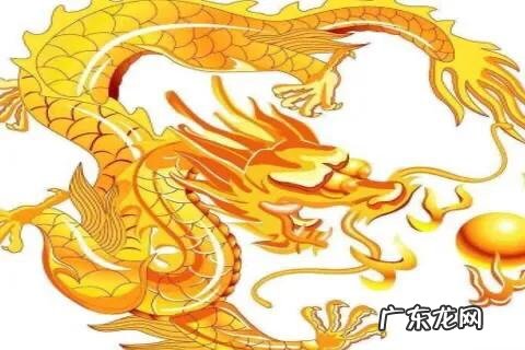 和属龙的人结婚,需要注意什么?