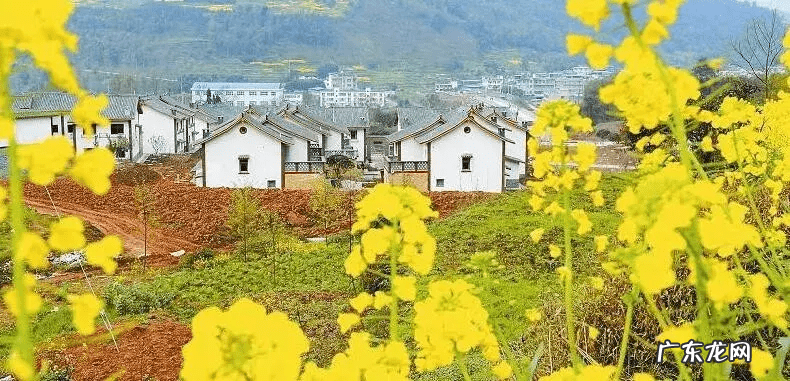 农村致富信息大全 农村致富网