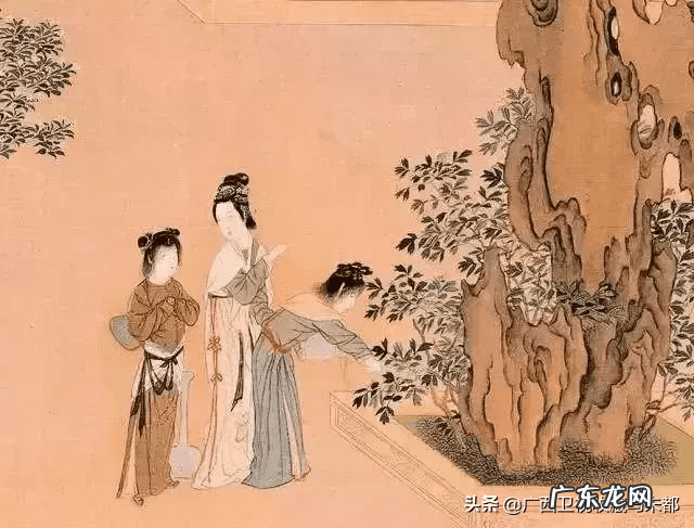 草豆蔻又叫什么 豆蔻是什么意思