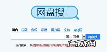 网盘搜索精灵验证码 网盘搜索引擎 搜盘网