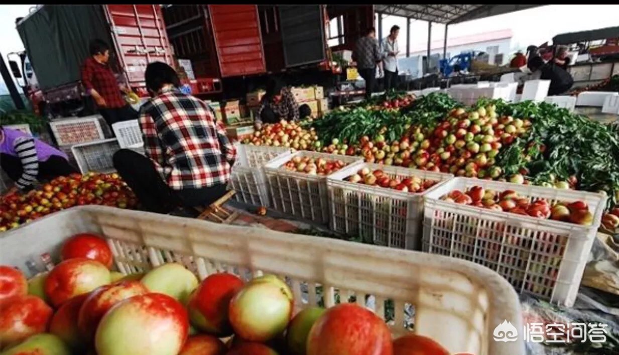 如何才能做好销售?