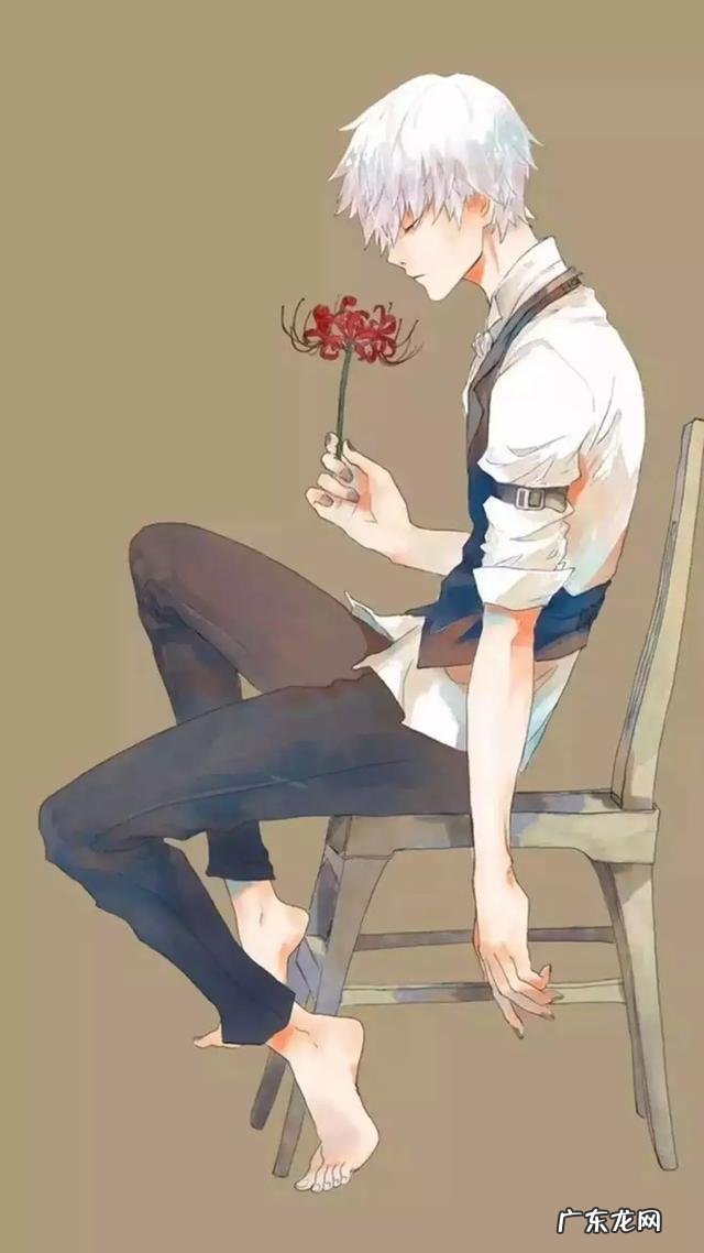 哪些动画片里有白头发的帅哥?