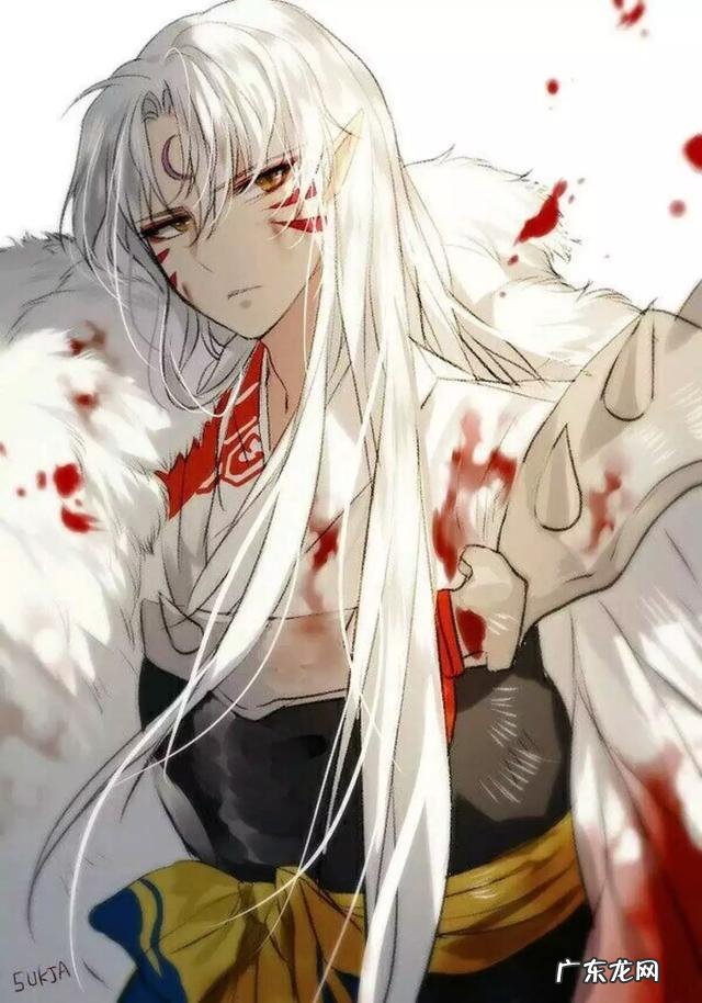 哪些动画片里有白头发的帅哥?