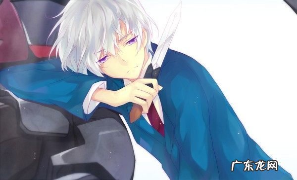 哪些动画片里有白头发的帅哥?