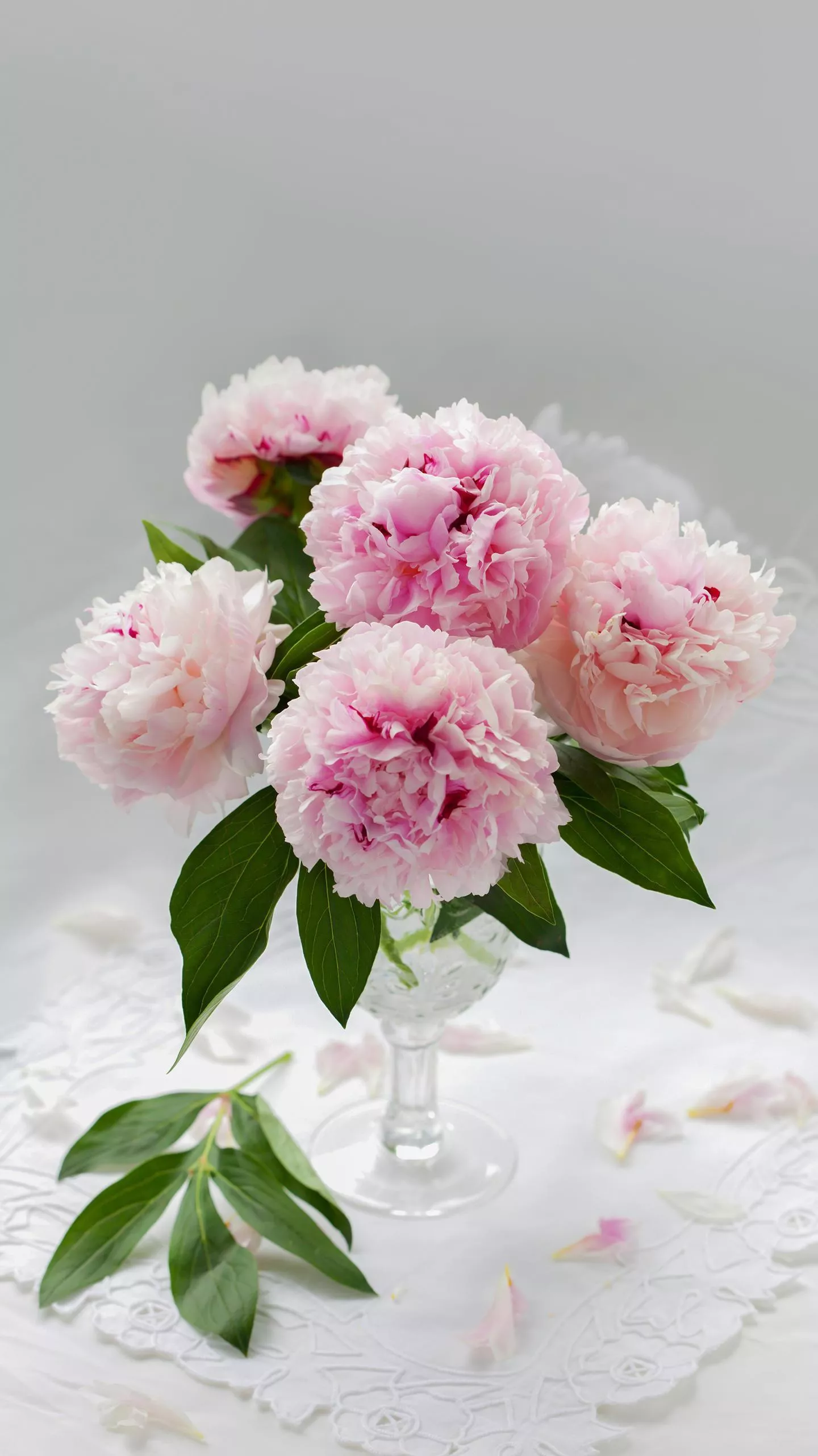 哪一句古诗让你至今难忘?