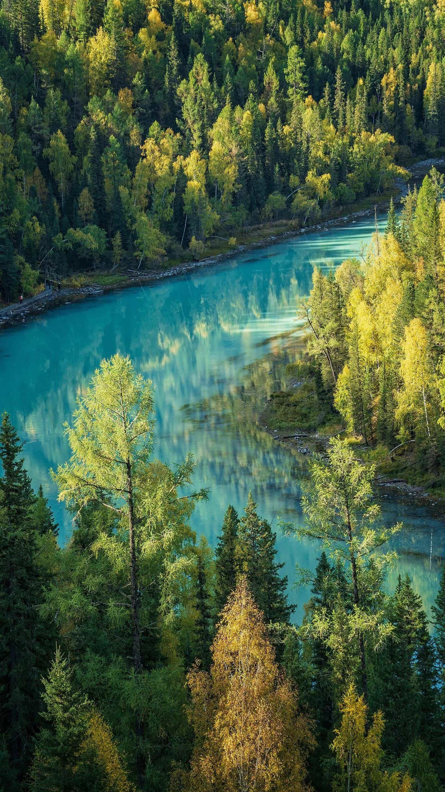 哪一句古诗让你至今难忘?