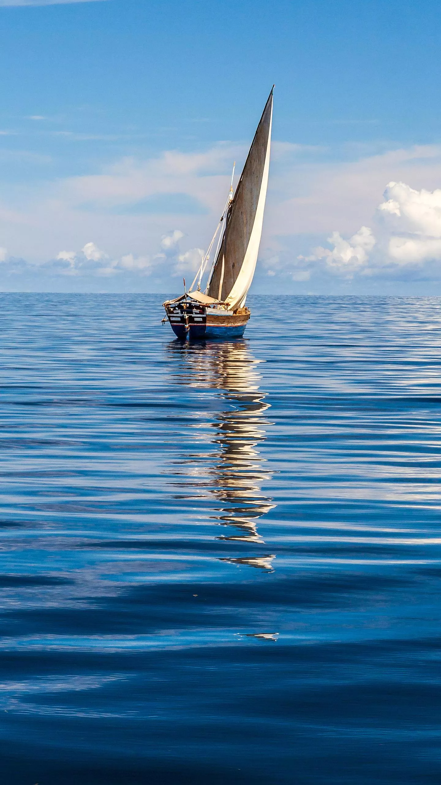 哪一句古诗让你至今难忘?