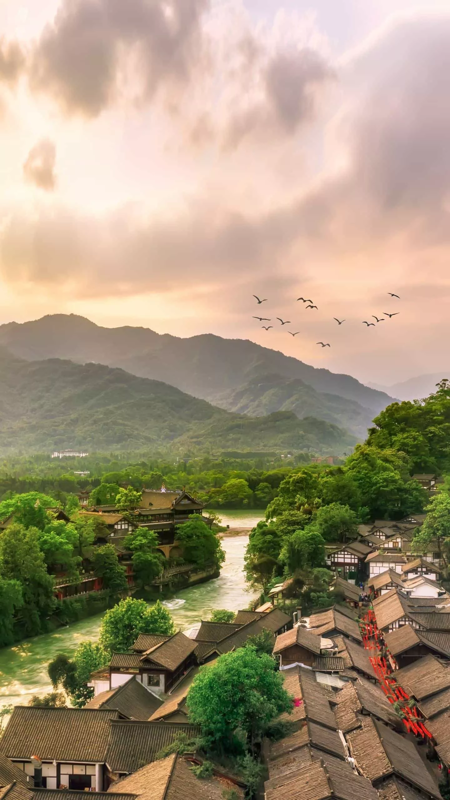 哪一句古诗让你至今难忘?