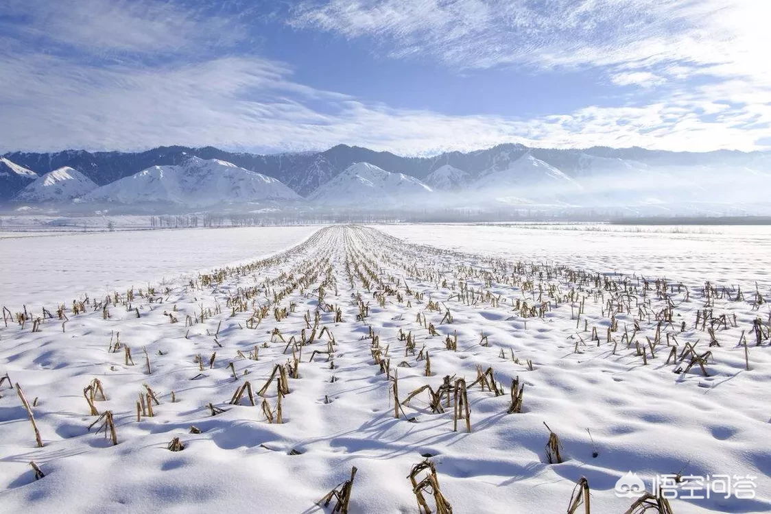 农村俗语“冬雪是个宝,春雪是根草”,这是什么意思?