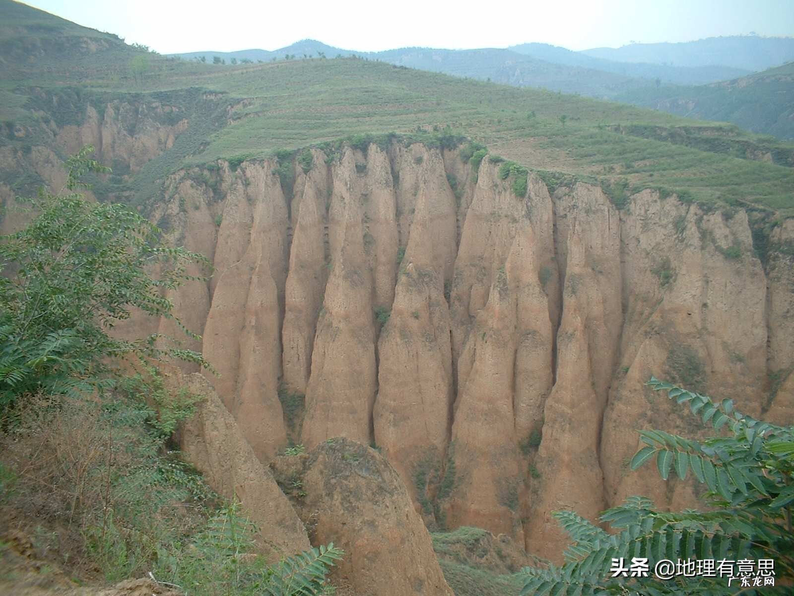 在黄土高原多种树有用吗?