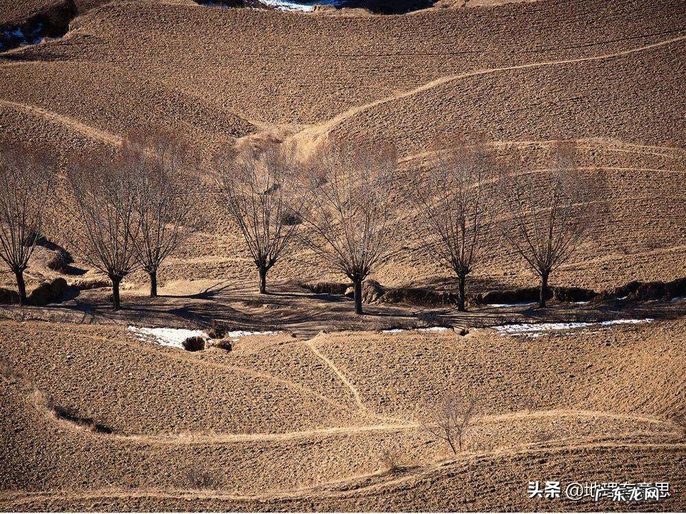 在黄土高原多种树有用吗?