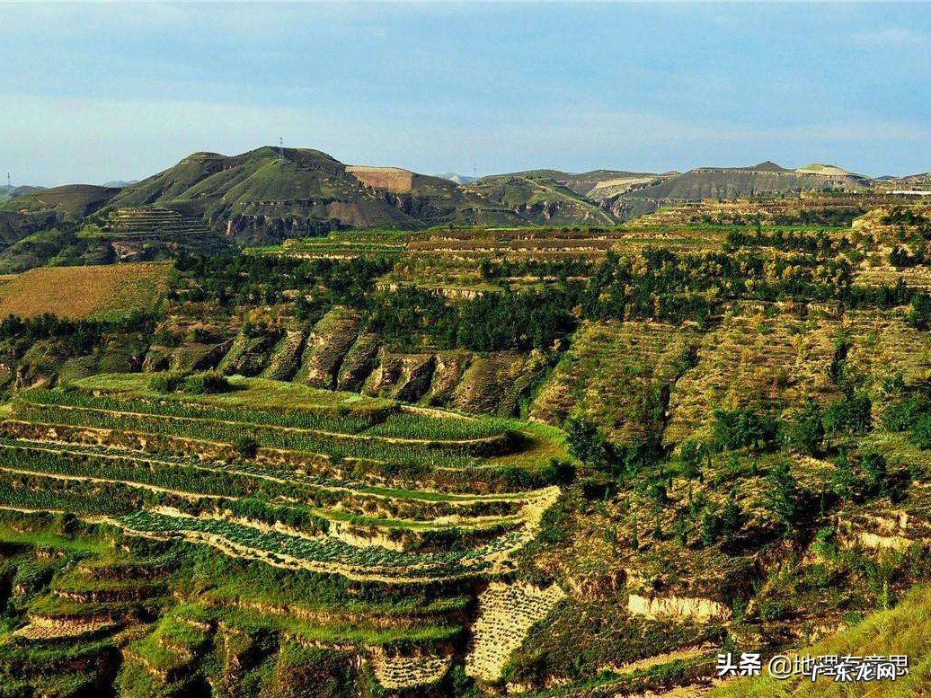 在黄土高原多种树有用吗?