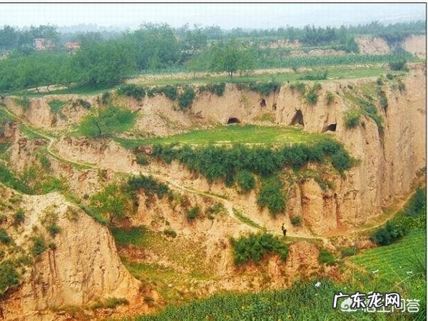 在黄土高原多种树有用吗?